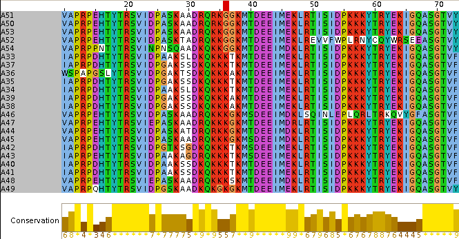 tf105351.eut.3.aln.png