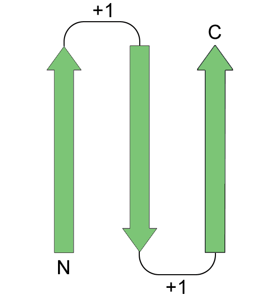 beta_meander.gif