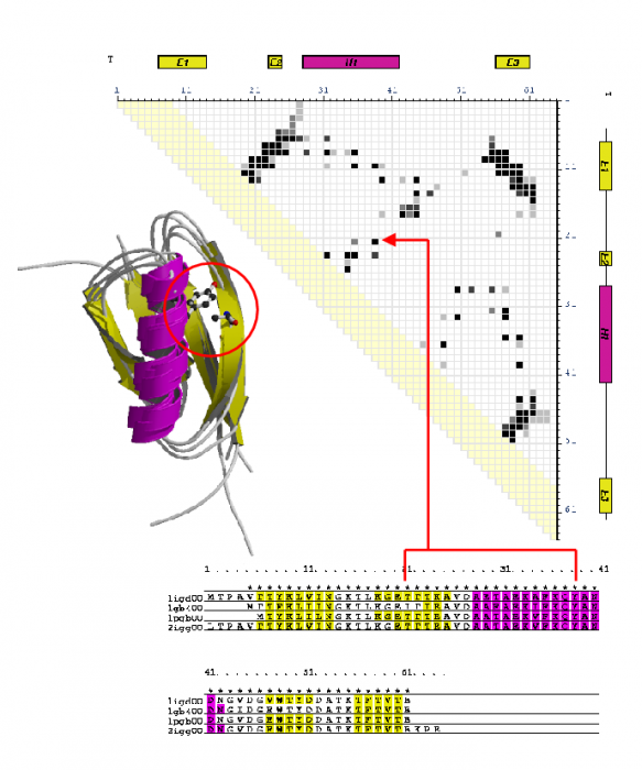 consensus_contact_map_example.png