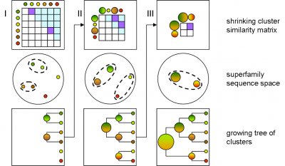 The agglomerative hierarchical clustering process